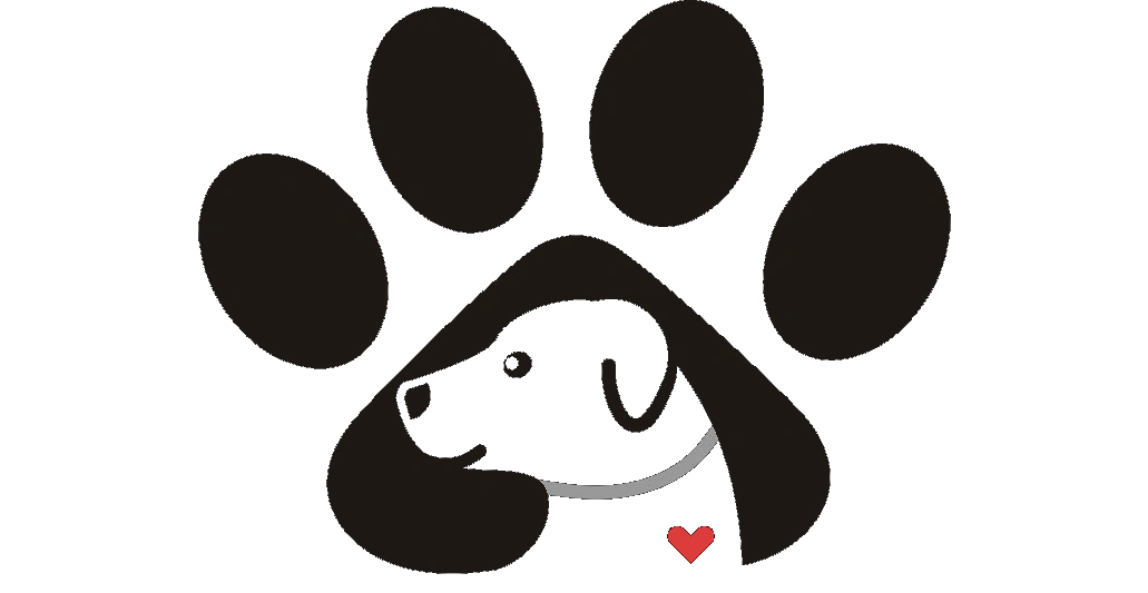 Paws of Persistence, Dog Training Bengaluru