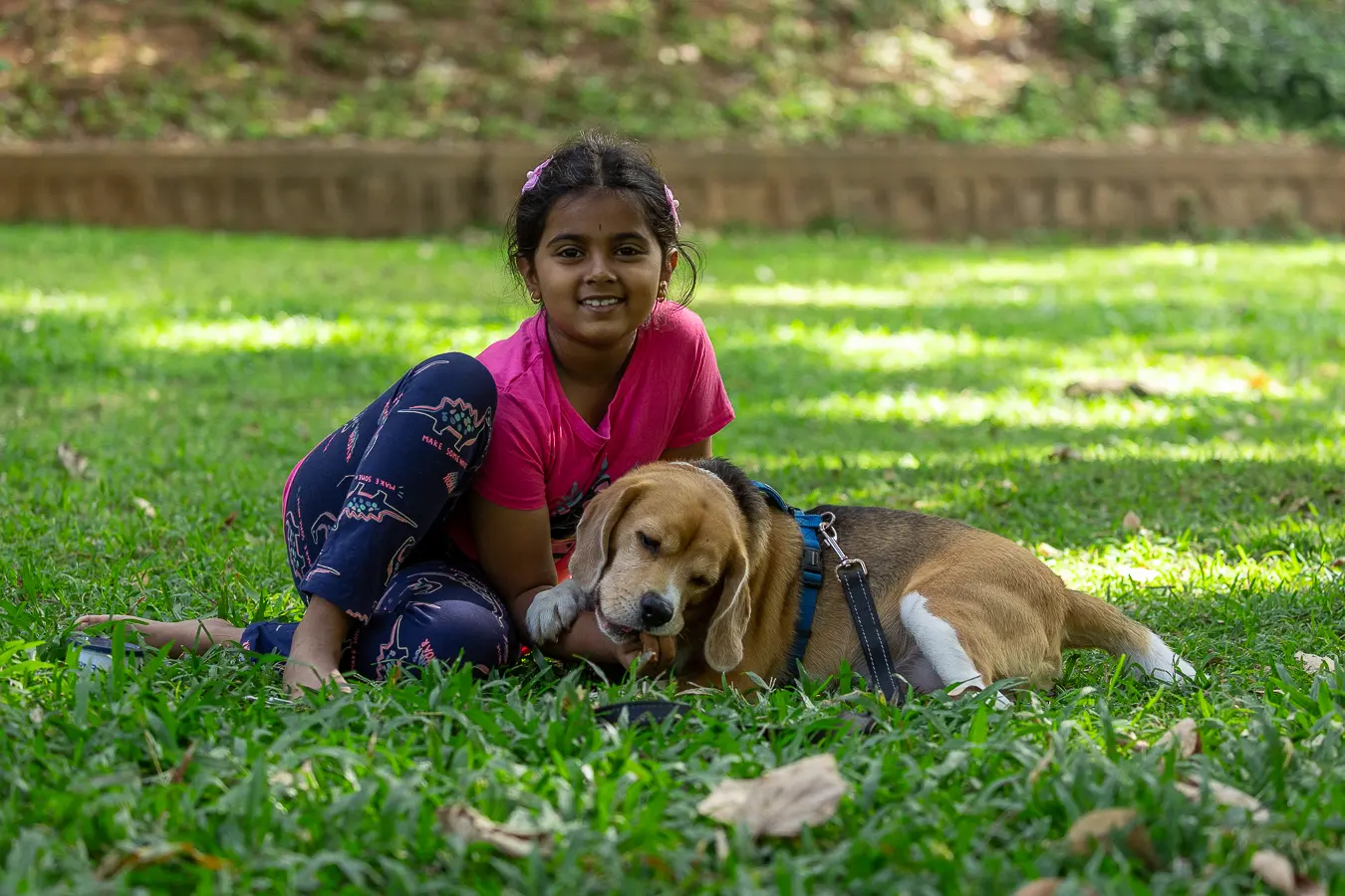 Arya & Wall-E: A Tale of Two Best Friends, Pet Photography Bangalore by Paws of Persistence